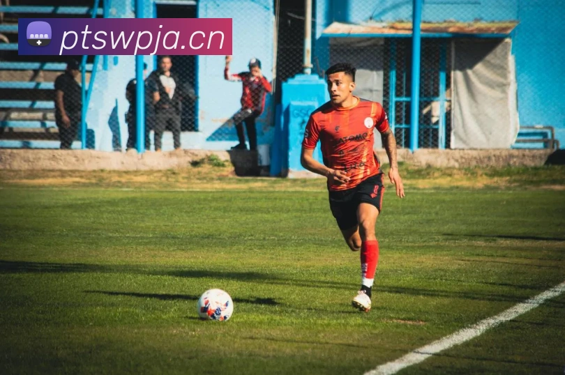 九游官网网页版登录入口发展历程